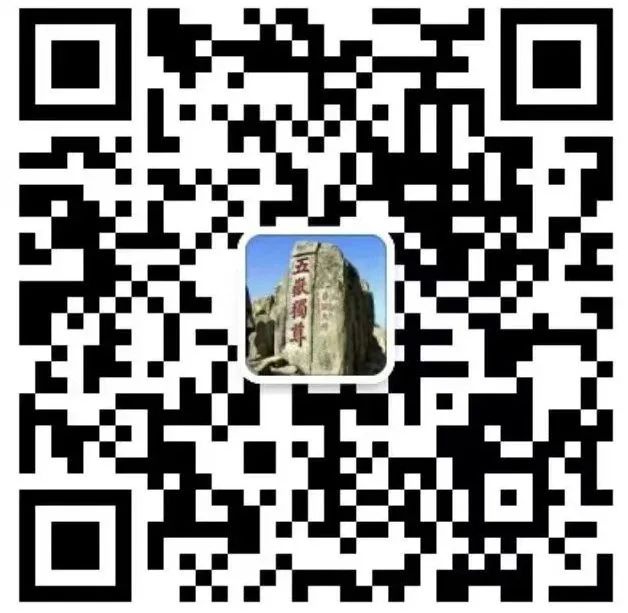 中文字幕乱码亚洲无线三区