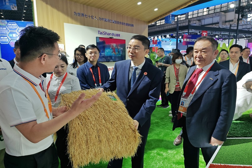 中文字幕乱码亚洲无线三区