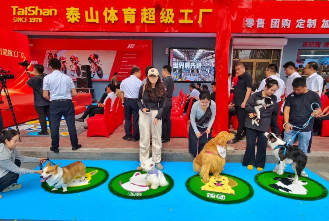 中文字幕乱码亚洲无线三区